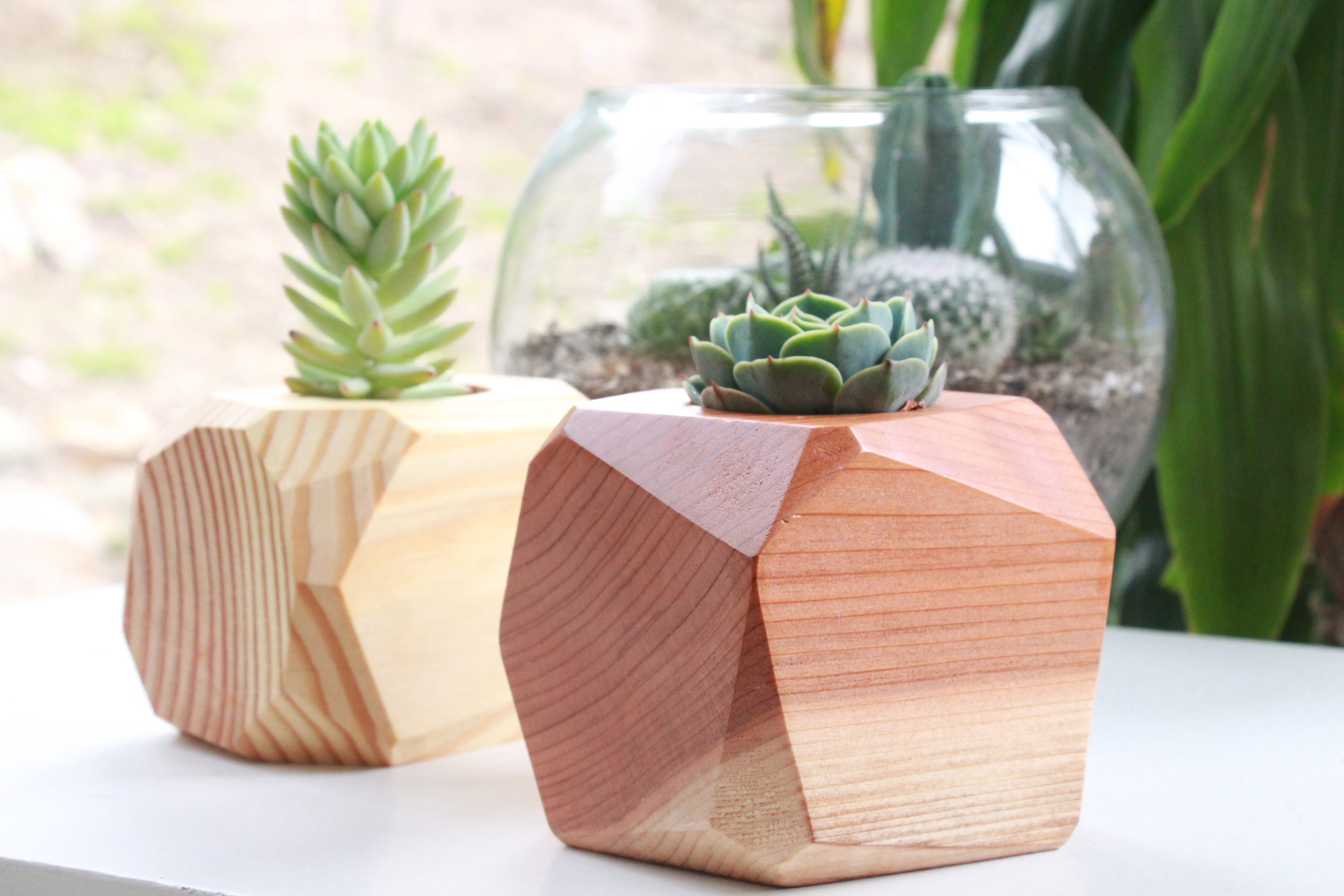 geometric-wood-succulent-planter-kinsfolk-accessories-needlesandleaves_net.jpg